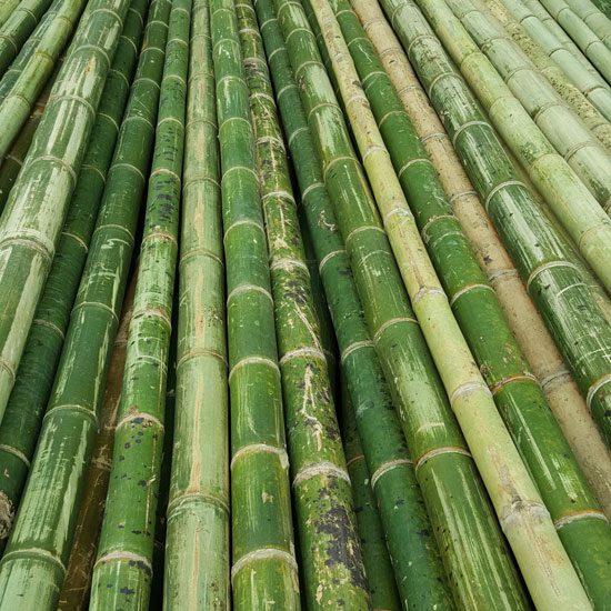 Guadua Bamboo Poles For Strong Roof Setups