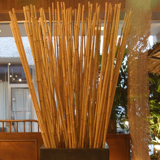 Thin Diameter Bamboo Sticks Ideal For Decorative Arrangements