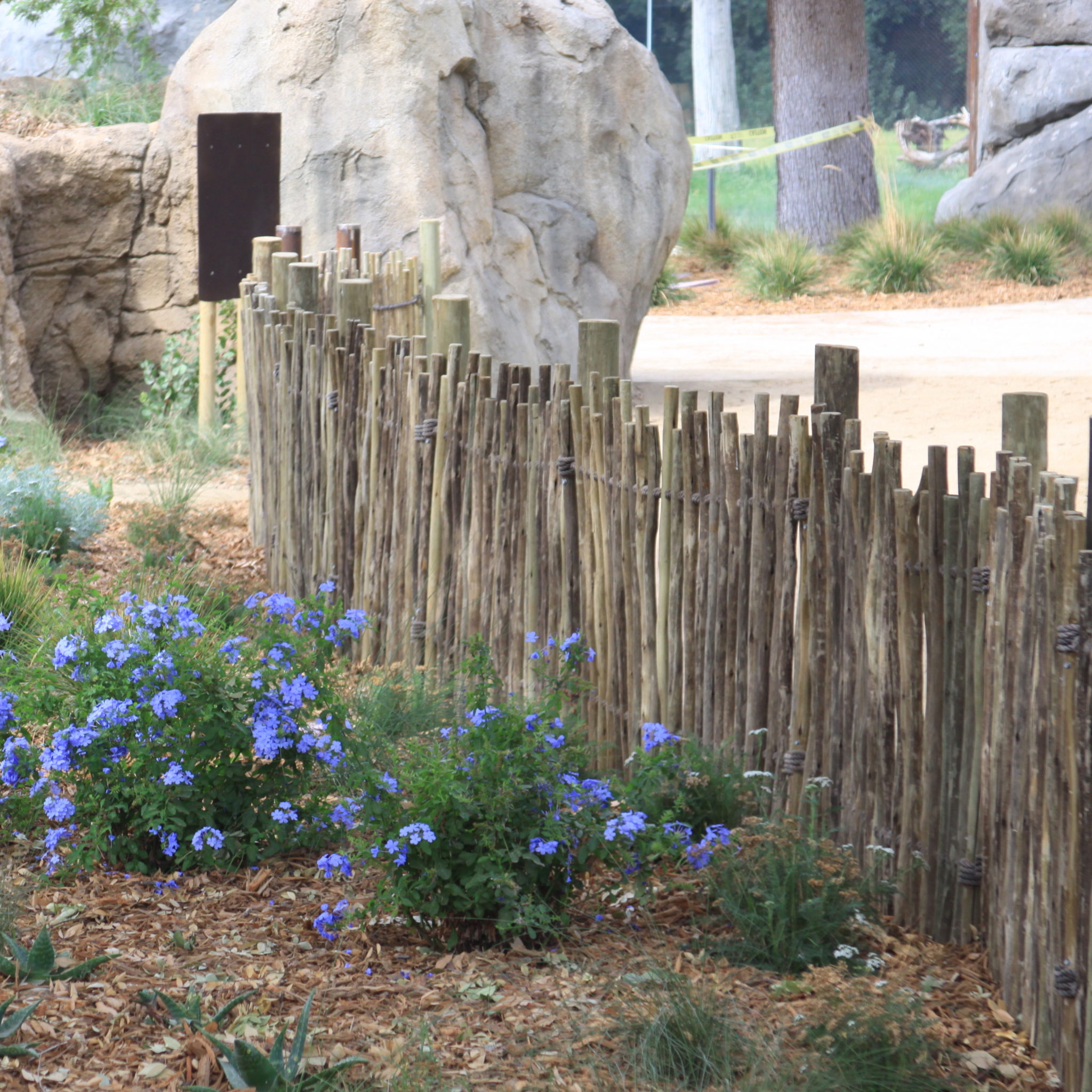 Bamboo Fence Rustic Eucalyptus